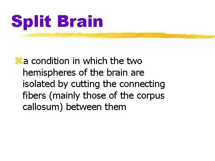 Split Brain za condition in which the two hemispheres of the brain are isolated