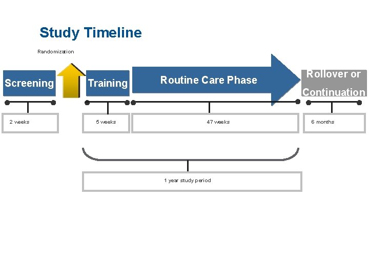 Study Timeline Randomization Screening ● 2 weeks ● Training ● Routine Care Phase Continuation