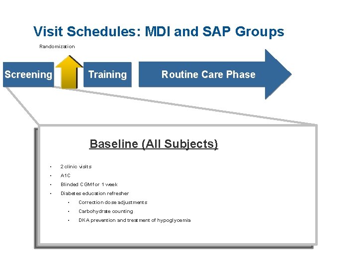 Visit Schedules: MDI and SAP Groups Randomization Screening Training Routine Care Phase Baseline (All