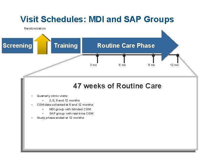 Visit Schedules: MDI and SAP Groups Randomization Screening Routine Care Phase Training ● 3