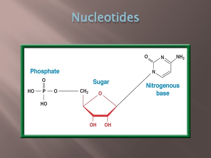 Nucleotides Nucleotides