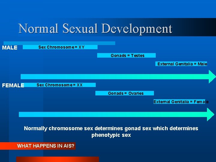 Normal Sexual Development MALE Sex Chromosome = XY Gonads = Testes External Genitalia =