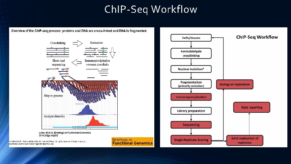 Ch. IP-Seq Workflow 