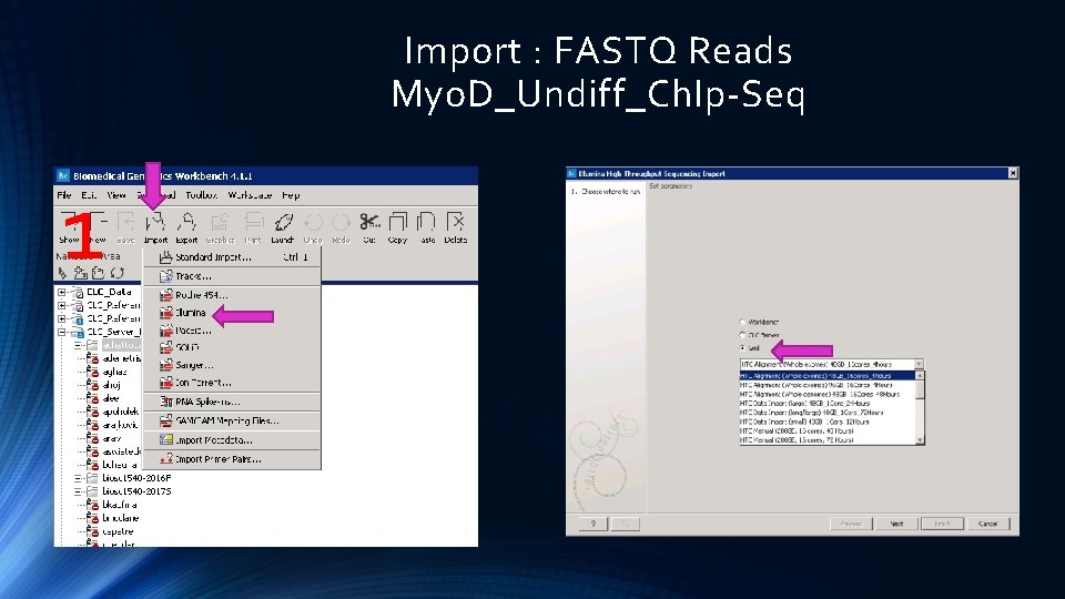 Import : FASTQ Reads Myo. D_Undiff_Ch. Ip-Seq 1 