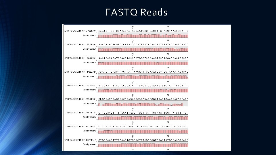 FASTQ Reads 