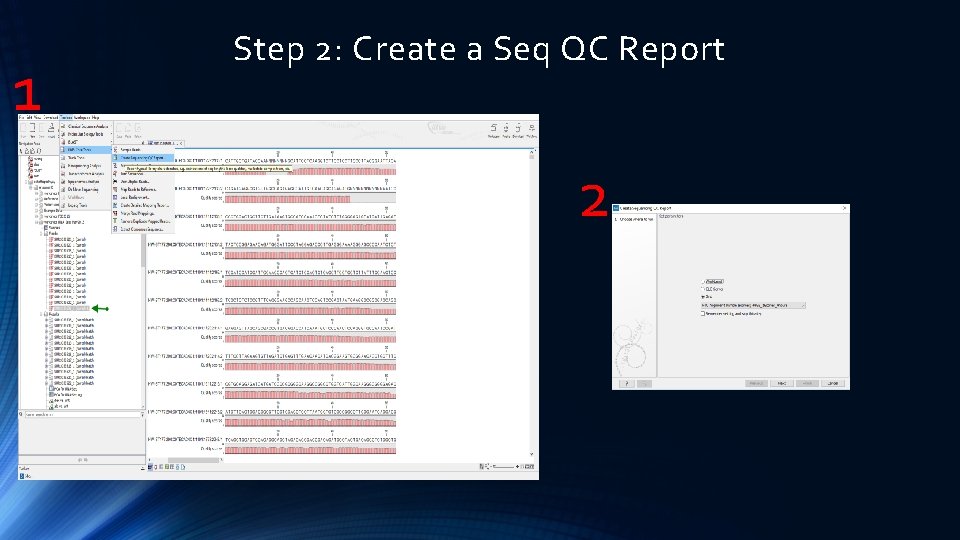 1 Step 2: Create a Seq QC Report 2 