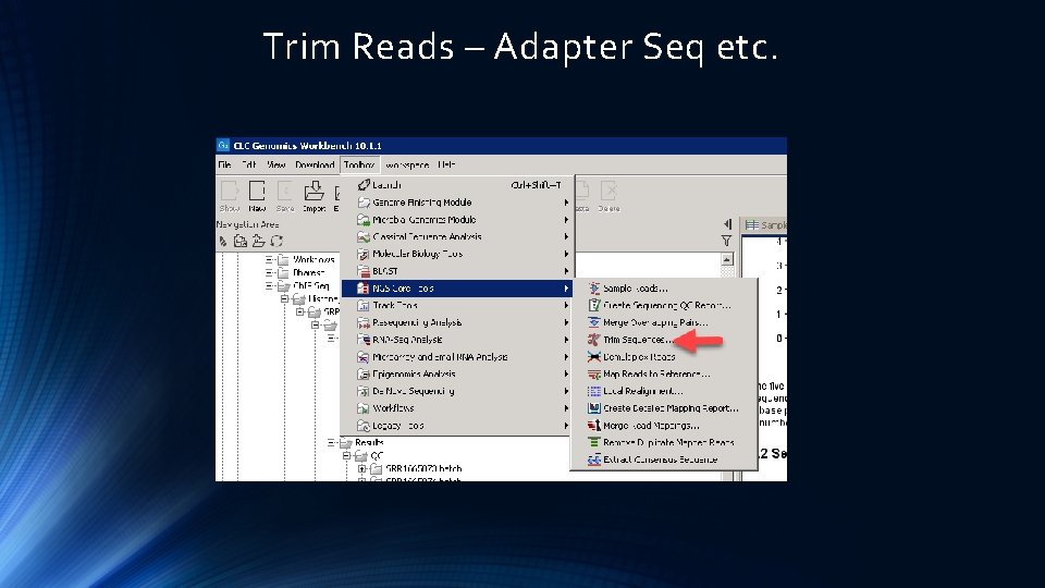 Trim Reads – Adapter Seq etc. 