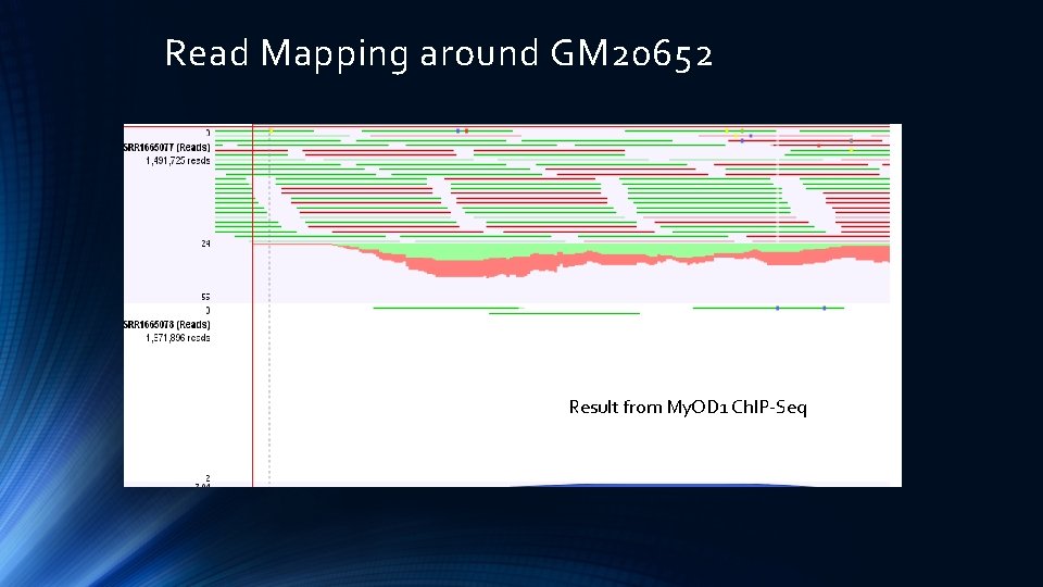 Read Mapping around GM 20652 Result from My. OD 1 Ch. IP-Seq 