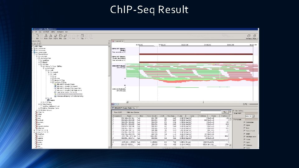 Ch. IP-Seq Result 