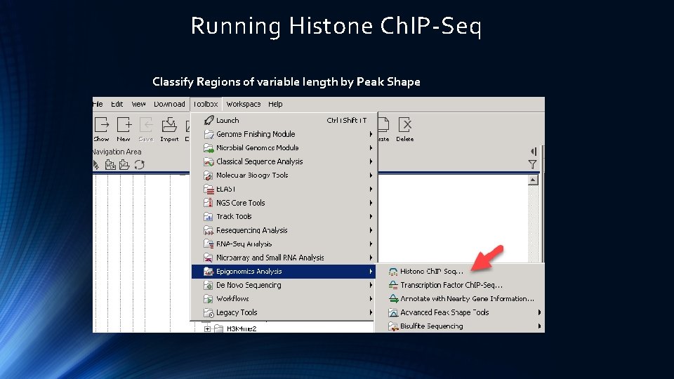 Running Histone Ch. IP-Seq Classify Regions of variable length by Peak Shape 