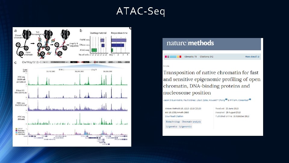 ATAC-Seq 