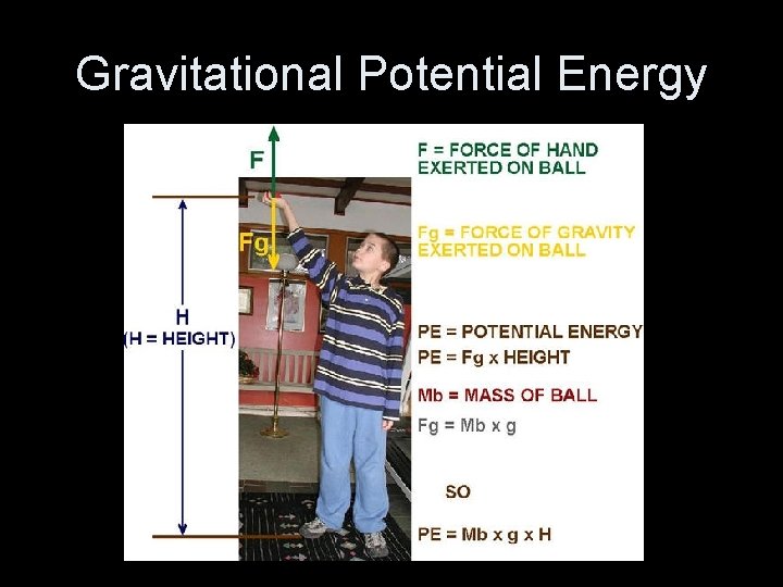 Gravitational Potential Energy 