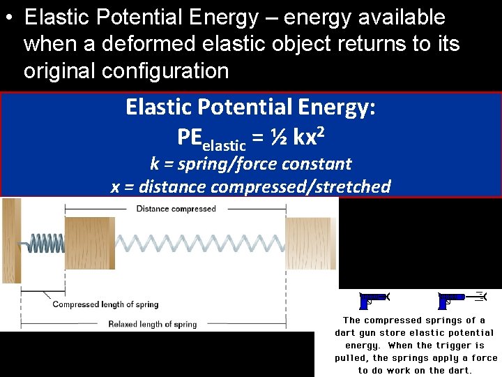  • Elastic Potential Energy – energy available when a deformed elastic object returns