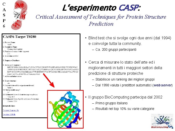 L‘esperimento CASP: Critical Assessment of Techniques for Protein Structure Prediction • Blind test che