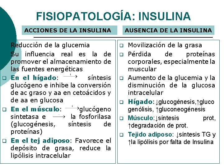 FISIOPATOLOGÍA: INSULINA ACCIONES DE LA INSULINA q q q Reducción de la glucemia Su