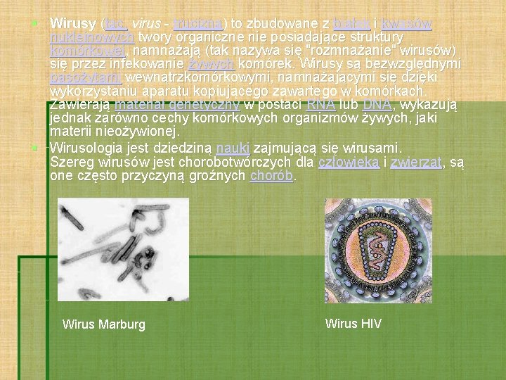  Wirusy (łac. virus - trucizna) to zbudowane z białek i kwasów nukleinowych twory