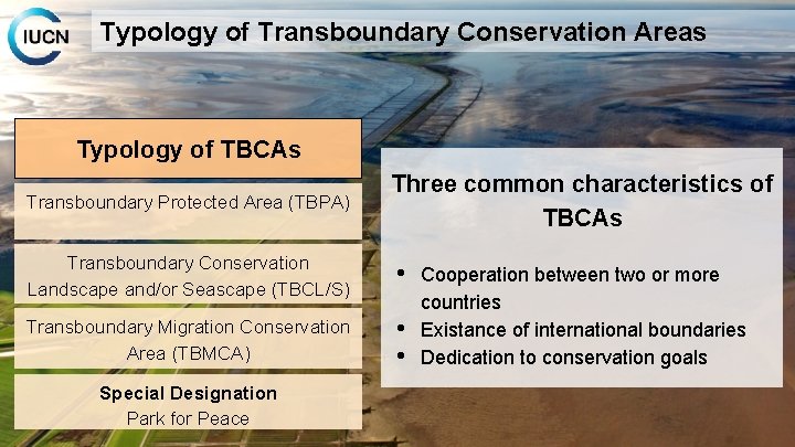 Typology of Transboundary Conservation Areas Typology of TBCAs Transboundary Protected Area (TBPA) Three common