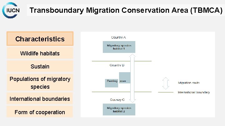 Transboundary Migration Conservation Area (TBMCA) Characteristics Wildlife habitats Sustain Populations of migratory species International