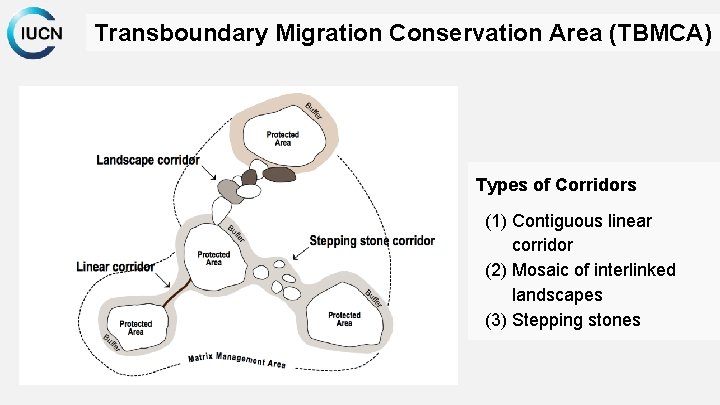 Transboundary Migration Conservation Area (TBMCA) Types of Corridors (1) Contiguous linear corridor (2) Mosaic