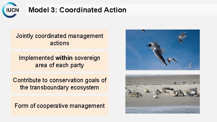 Model 3: Coordinated Action Jointly coordinated management actions Implemented within sovereign area of each