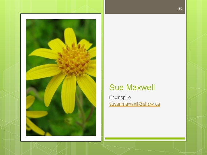 30 Sue Maxwell Ecoinspire susanmaxwell@shaw. ca 