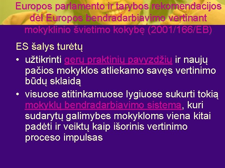 Europos parlamento ir tarybos rekomendacijos dėl Europos bendradarbiavimo vertinant mokyklinio švietimo kokybę (2001/166/EB) ES