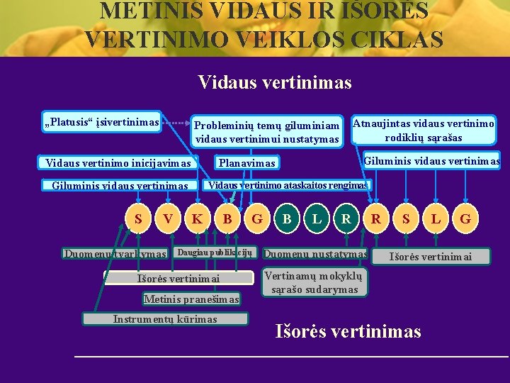 METINIS VIDAUS IR IŠORĖS VERTINIMO VEIKLOS CIKLAS Vidaus vertinimas „Platusis“ įsivertinimas Vidaus vertinimo inicijavimas