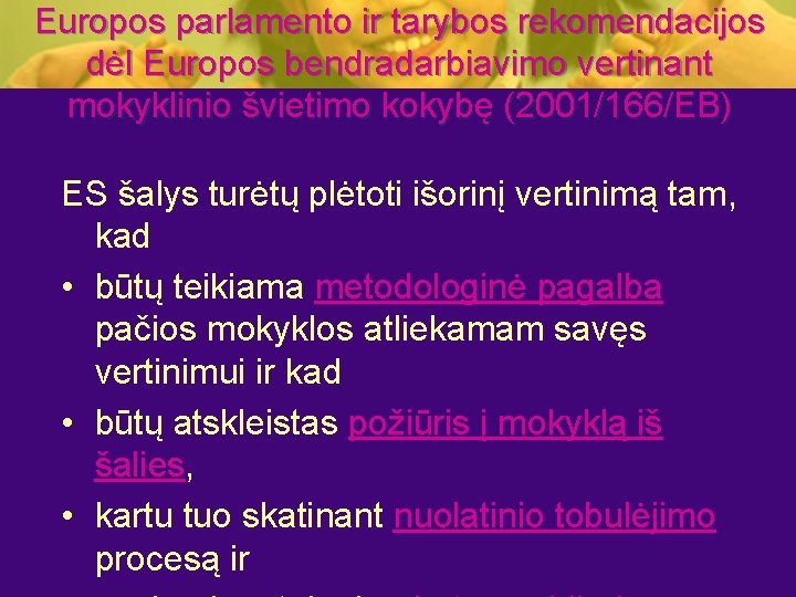 Europos parlamento ir tarybos rekomendacijos dėl Europos bendradarbiavimo vertinant mokyklinio švietimo kokybę (2001/166/EB) ES