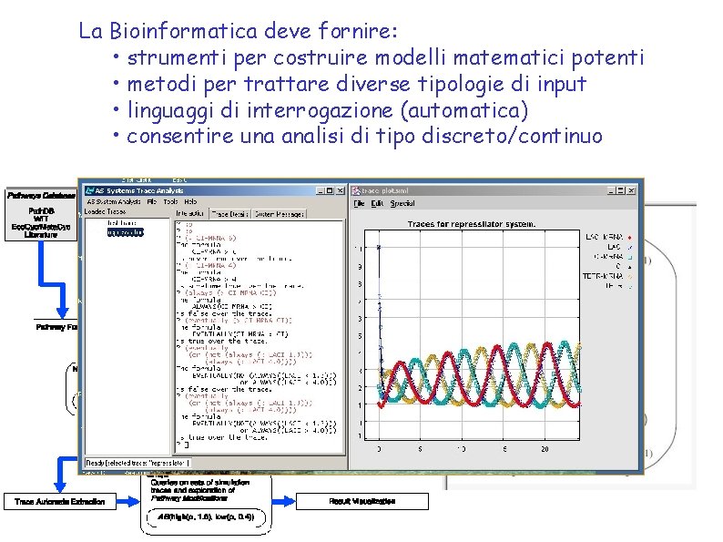 La Bioinformatica deve fornire: • strumenti per costruire modelli matematici potenti • metodi per