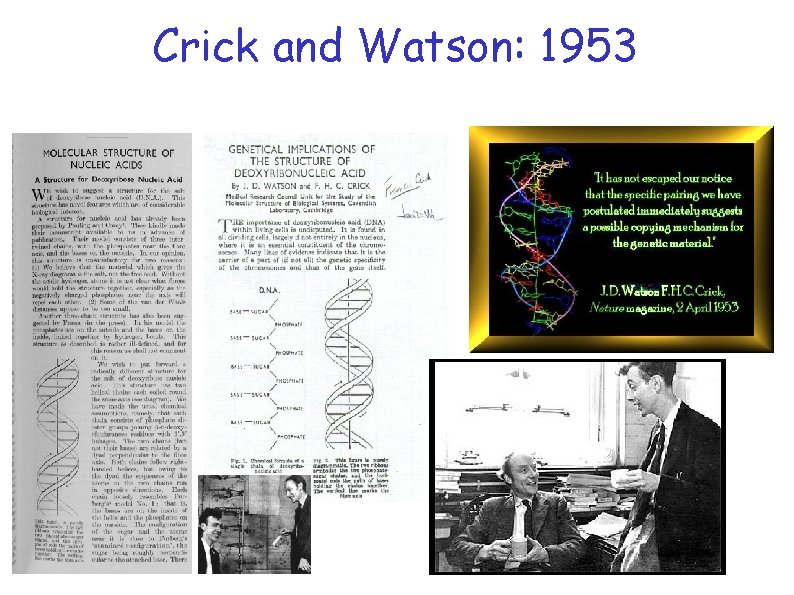 Crick and Watson: 1953 