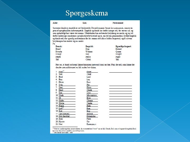 Spørgeskema 