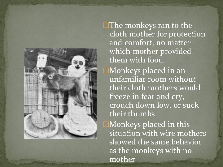 �The monkeys ran to the cloth mother for protection and comfort, no matter which