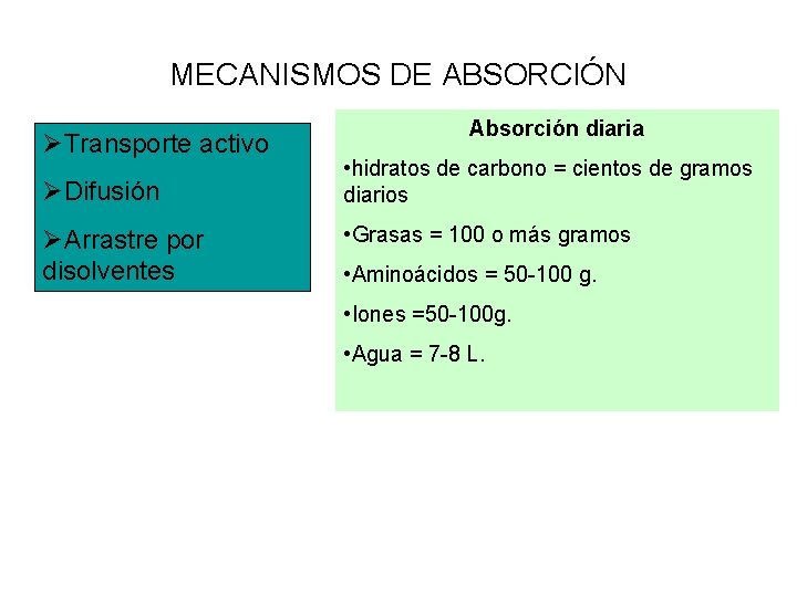 MECANISMOS DE ABSORCIÓN ØTransporte activo ØDifusión ØArrastre por disolventes Absorción diaria • hidratos de