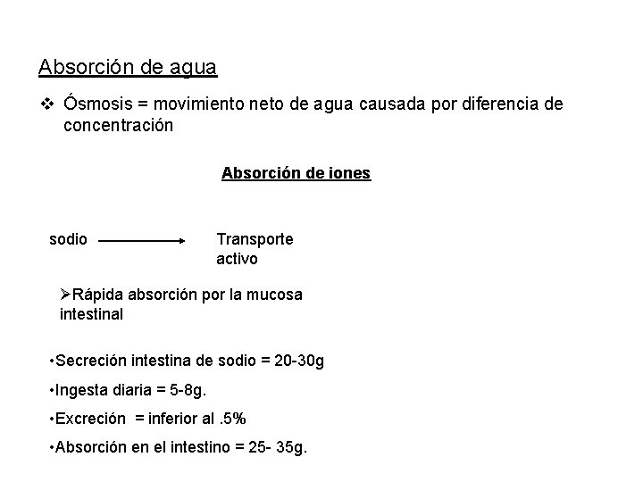 Absorción de agua v Ósmosis = movimiento neto de agua causada por diferencia de