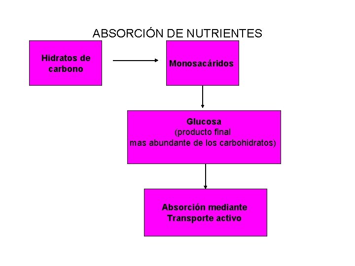 ABSORCIÓN DE NUTRIENTES Hidratos de carbono Monosacáridos Glucosa (producto final mas abundante de los