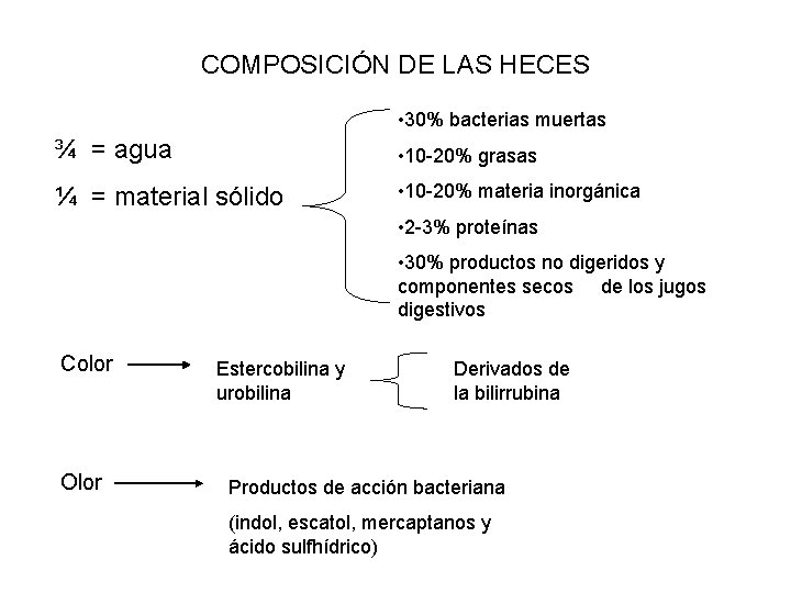 COMPOSICIÓN DE LAS HECES • 30% bacterias muertas ¾ = agua • 10 -20%