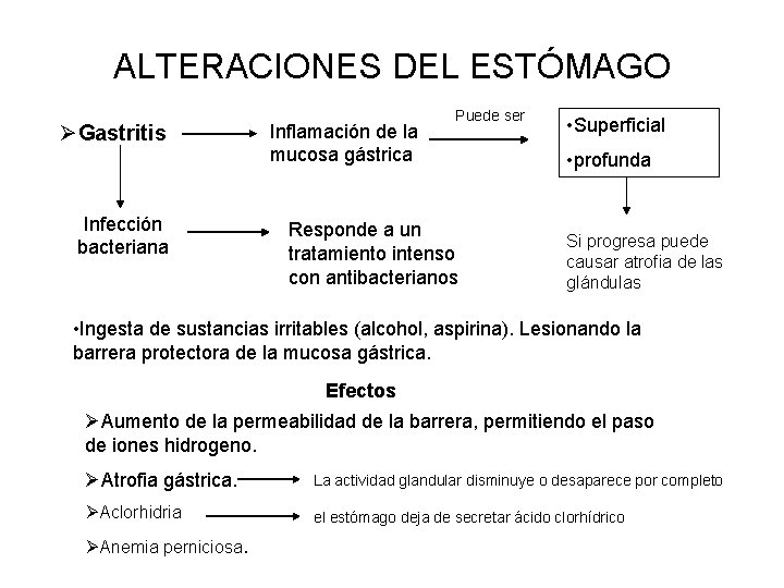 ALTERACIONES DEL ESTÓMAGO ØGastritis Infección bacteriana Inflamación de la mucosa gástrica Puede ser Responde