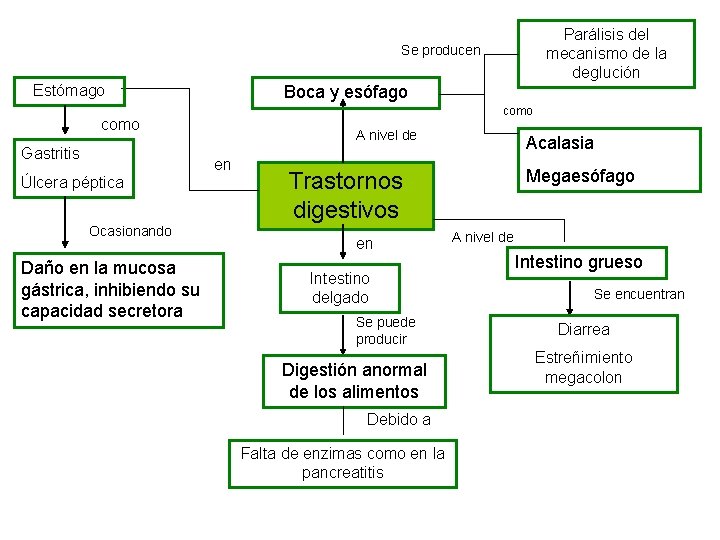 Parálisis del mecanismo de la deglución Se producen Estómago Boca y esófago como Gastritis