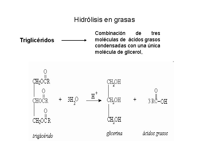 Hidrólisis en grasas Triglicéridos Combinación de tres moléculas de ácidos grasos condensadas con una