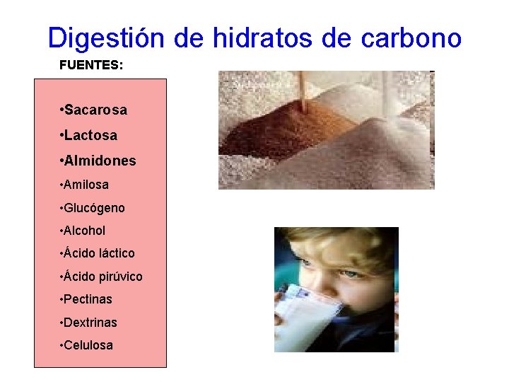 Digestión de hidratos de carbono FUENTES: • Sacarosa • Lactosa • Almidones • Amilosa