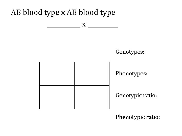 AB blood type x AB blood type ______ x _____ Genotypes: Phenotypes: Genotypic ratio: