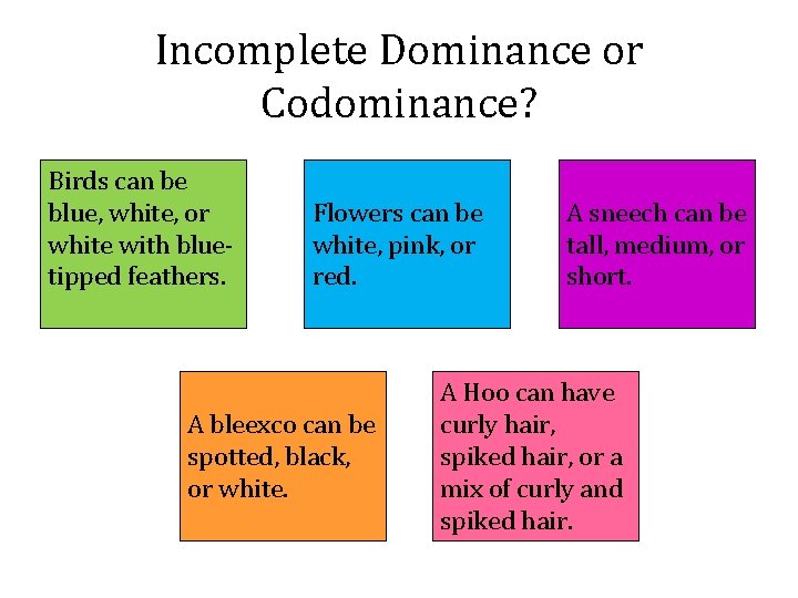 Incomplete Dominance or Codominance? Birds can be blue, white, or white with bluetipped feathers.