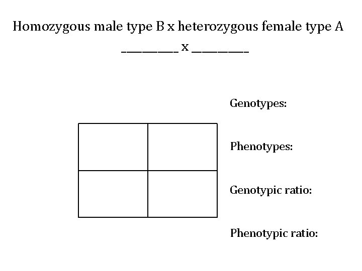 Homozygous male type B x heterozygous female type A ______ x ______ Genotypes: Phenotypes: