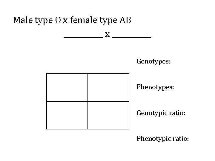 Male type O x female type AB ______ x ______ Genotypes: Phenotypes: Genotypic ratio: