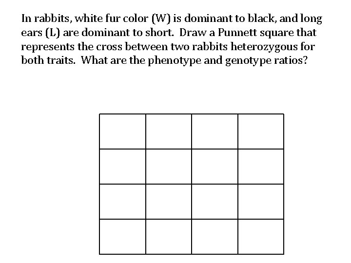 In rabbits, white fur color (W) is dominant to black, and long ears (L)