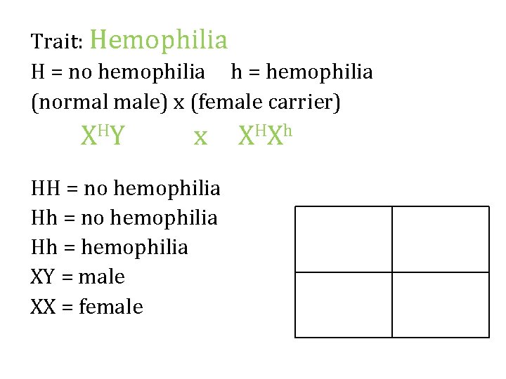 Trait: Hemophilia H = no hemophilia h = hemophilia (normal male) x (female carrier)