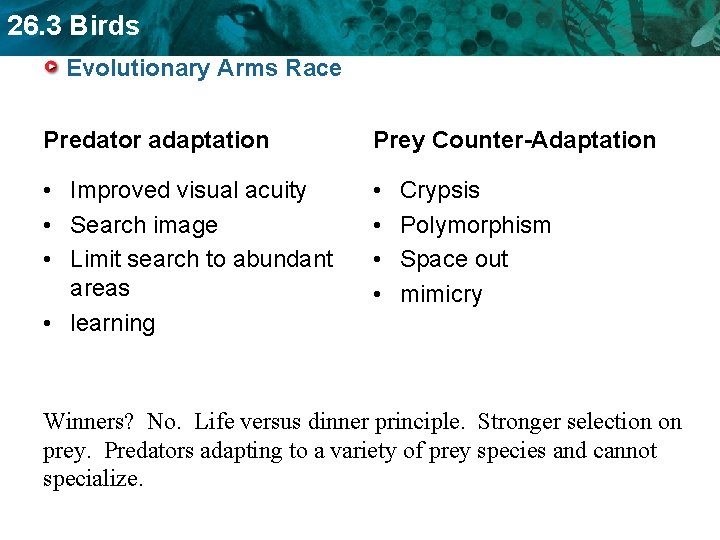 26. 3 Birds Evolutionary Arms Race Predator adaptation Prey Counter-Adaptation • Improved visual acuity