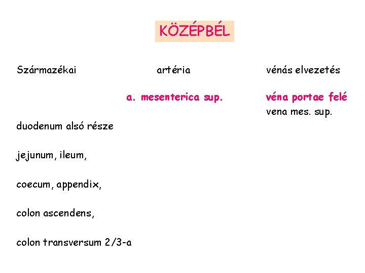 KÖZÉPBÉL Származékai artéria a. mesenterica sup. duodenum alsó része jejunum, ileum, coecum, appendix, colon