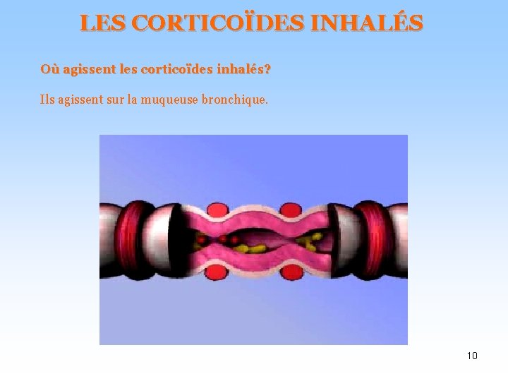 LES CORTICOÏDES INHALÉS Où agissent les corticoïdes inhalés? Ils agissent sur la muqueuse bronchique.