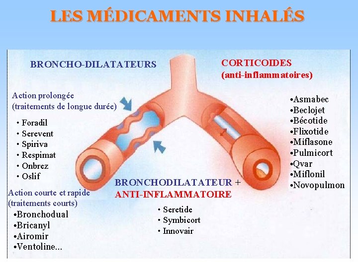 LES MÉDICAMENTS INHALÉS CORTICOIDES (anti-inflammatoires) BRONCHO-DILATATEURS Action prolongée (traitements de longue durée) • Foradil